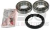A.B.S. 200252 Wheel Bearing Kit